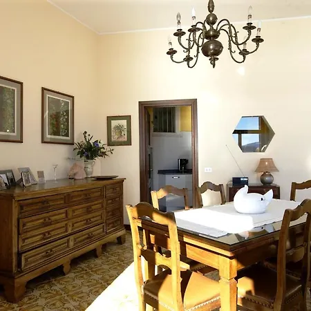 فيلة Camelia فيربانيا