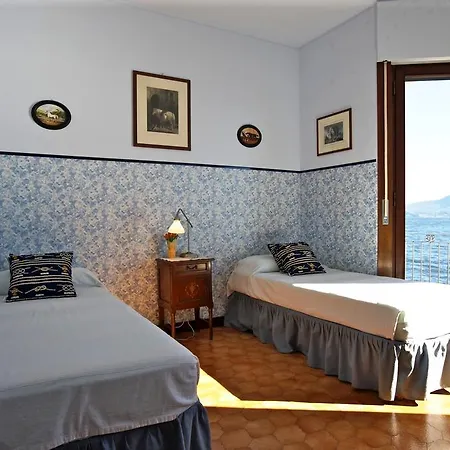 Camelia * فيربانيا