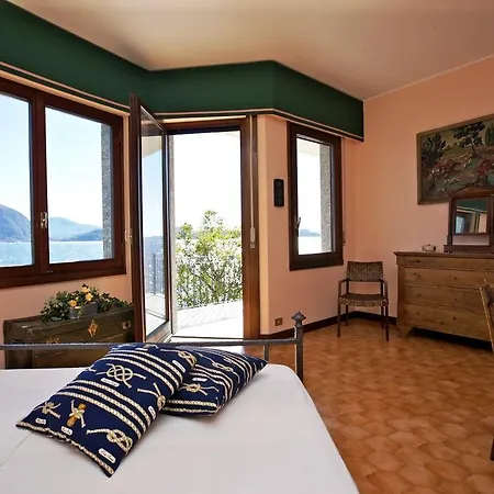 Camelia فيربانيا