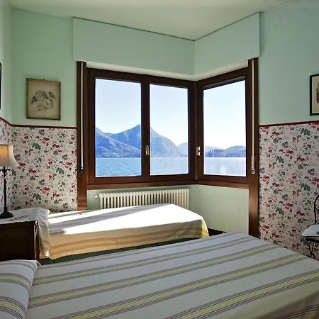 Camelia فيلة فيربانيا