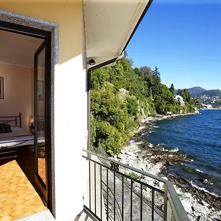 Camelia فيربانيا